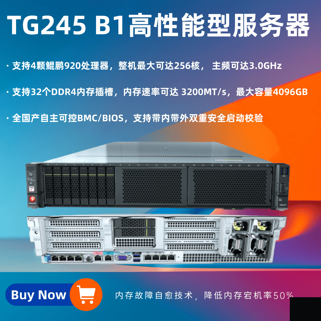 TG245 B1高性能型服務器